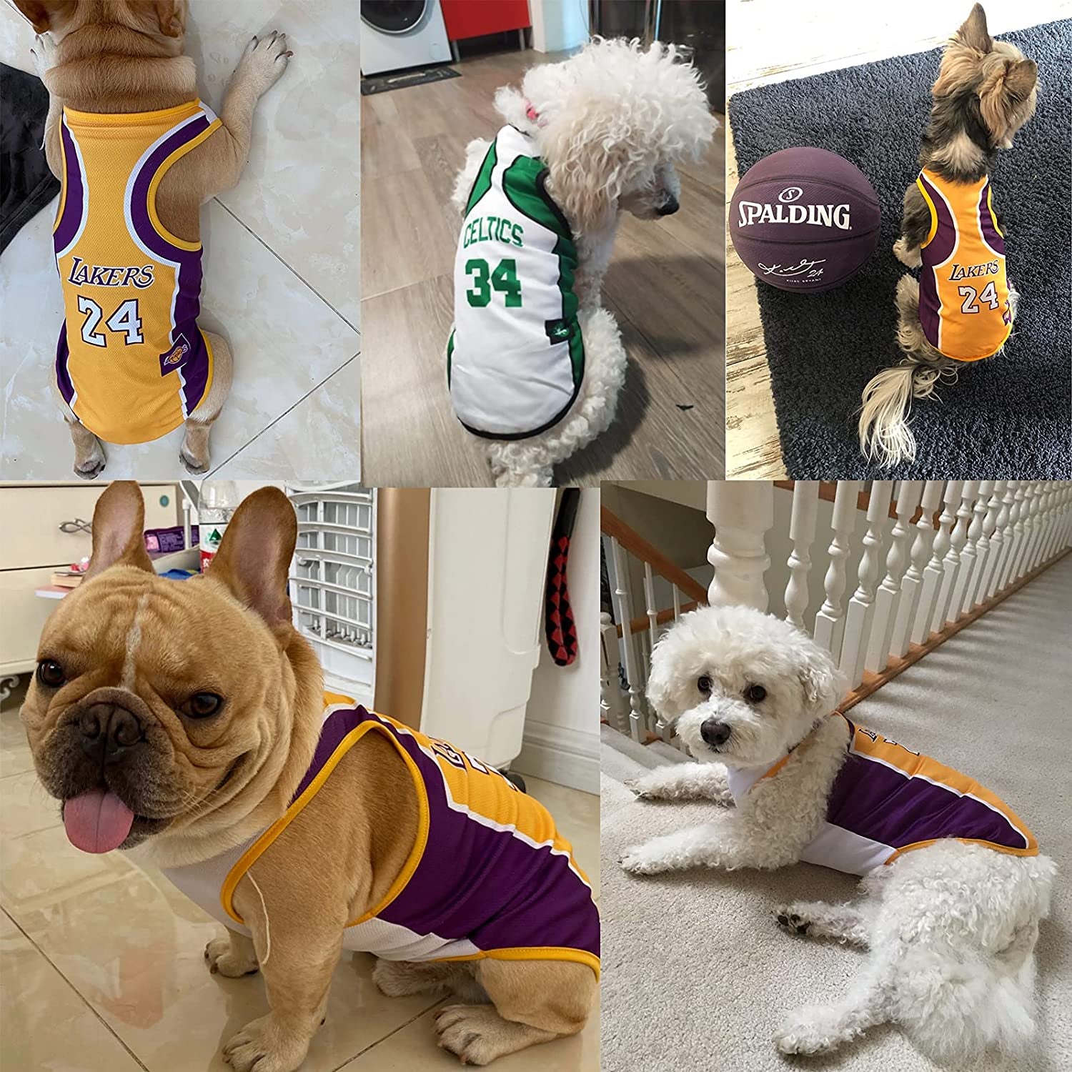 Cool & Stylish 3-Pack Basketball Jersey Dog Shirts – The Perfect Summer Outfit for Your Pup