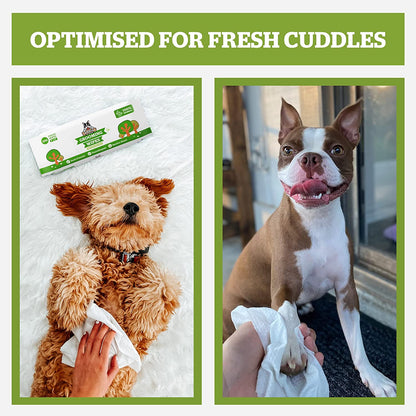 Pogi’s Travel-Size Dog Grooming Wipes – Fresh, Clean, & Odor-Free Anywhere!