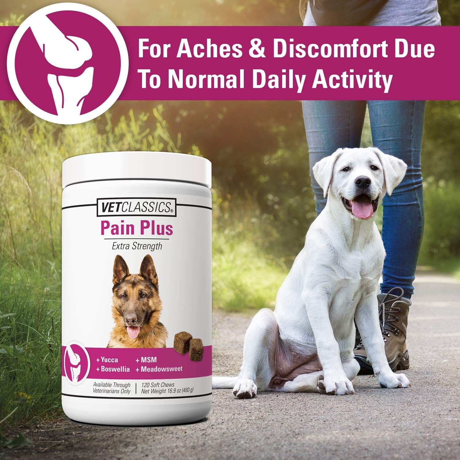 Pain Plus Extra Strength – Advanced Pain Relief & Joint Support for Dogs