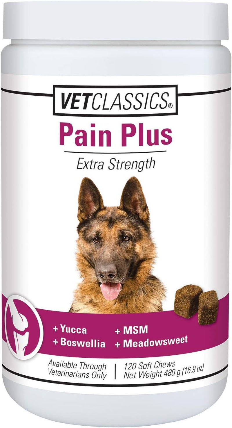 Pain Plus Extra Strength – Advanced Pain Relief & Joint Support for Dogs