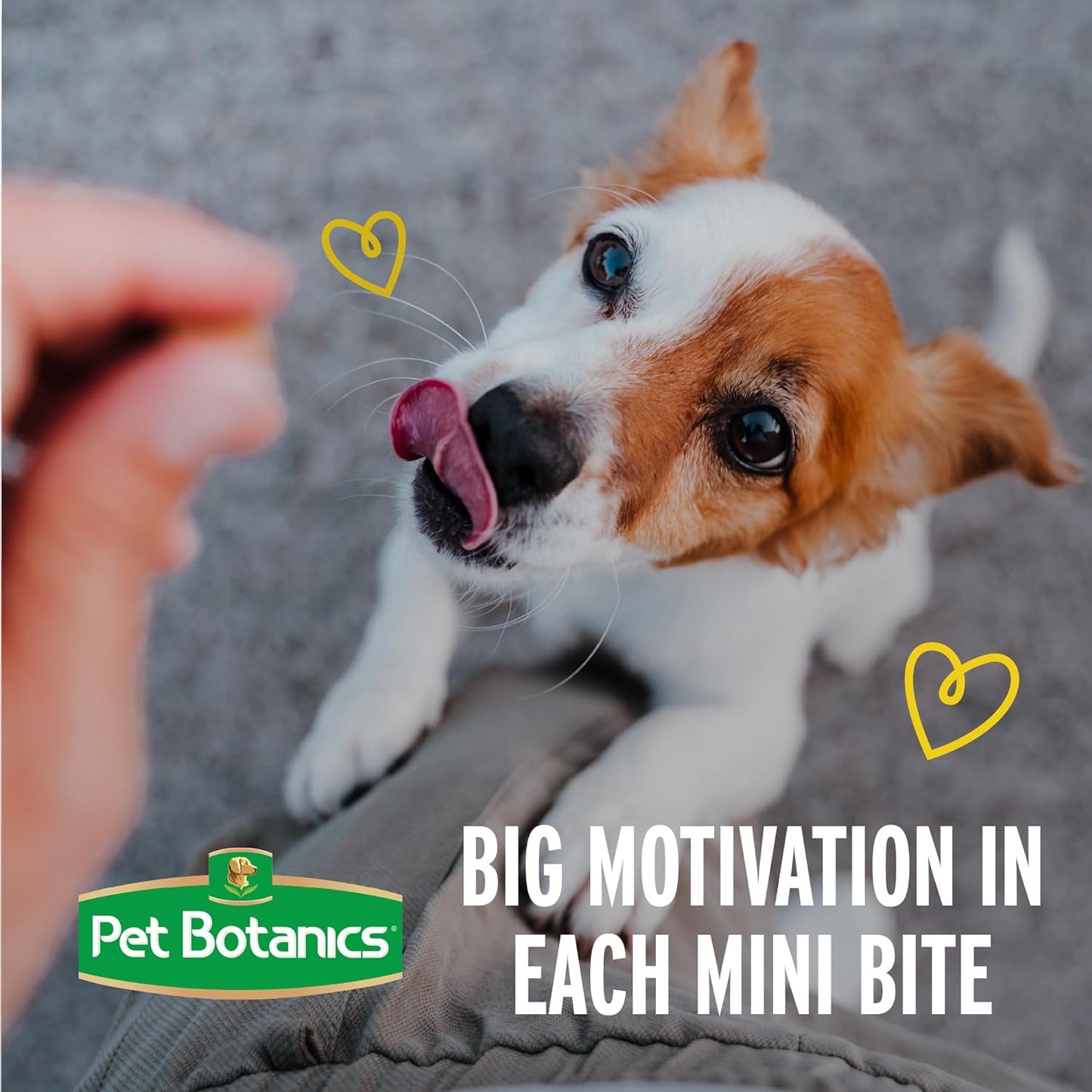 500 Mini Training Treats – Soft & Chewy Chicken Bites for Rewarding Good Behavior | Trainer-Approved!