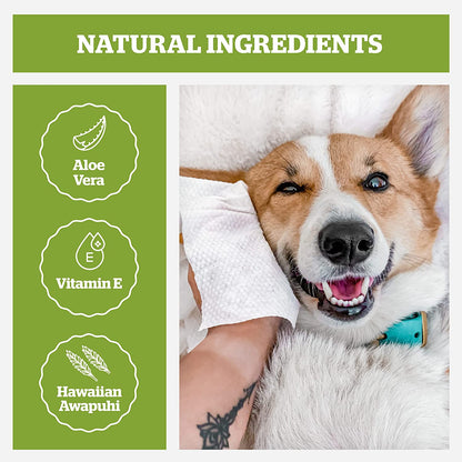 Pogi’s Travel-Size Dog Grooming Wipes – Fresh, Clean, & Odor-Free Anywhere!