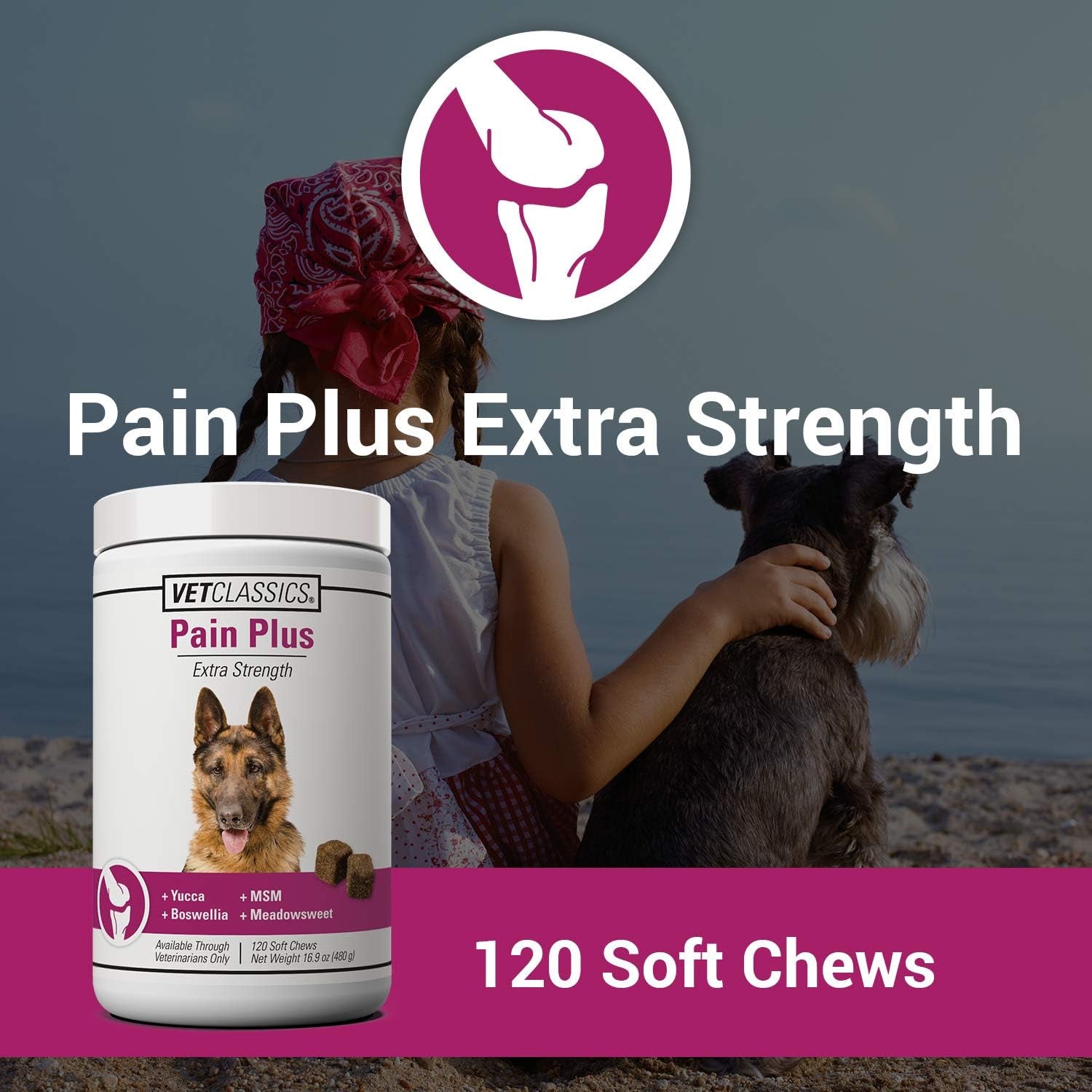 Pain Plus Extra Strength – Advanced Pain Relief & Joint Support for Dogs